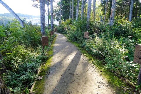 阿寒湖温泉の阿寒湖湖畔の遊歩道