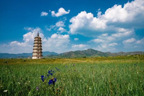 View of the Qinzhou White Pagoda from the east.