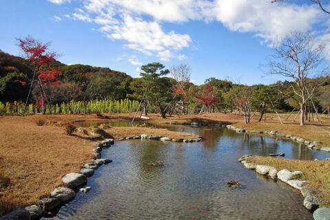 楽山園の南東庭園にある池（泉水）。
