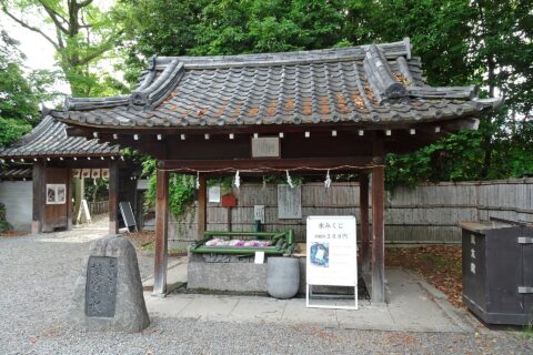 離宮の水（2024年）