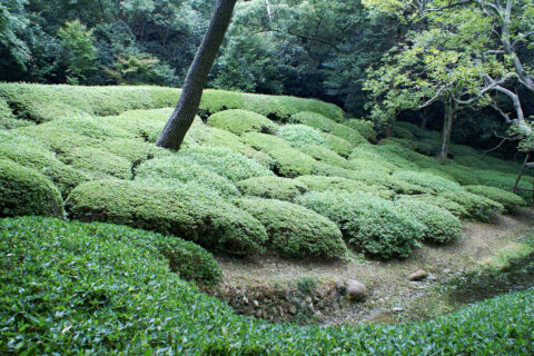 栗林公園, 香川県高松市