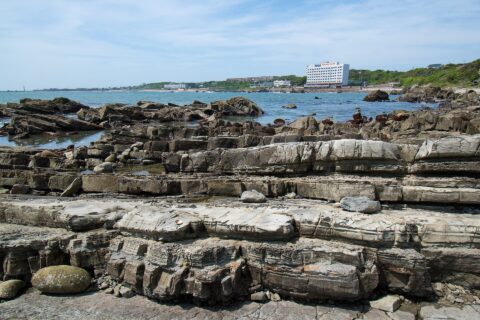 ​天然記念物「犬吠埼の白亜紀浅海堆積物」より「砂岩泥岩互層」。