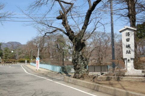 沼田城址