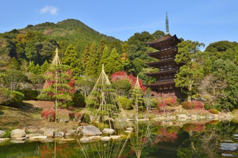 瑠璃光寺 (山口市) 五重塔と池