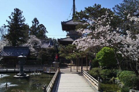 霊山寺 放生池