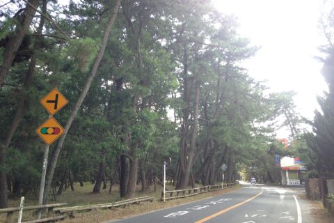 佐賀県唐津市浜玉町浜崎・虹の松原と佐賀県道347号