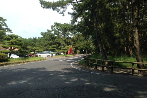 虹の松原の真ん中を通る佐賀県道347号。手前は佐賀県道250号