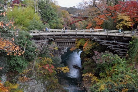 大月 猿橋