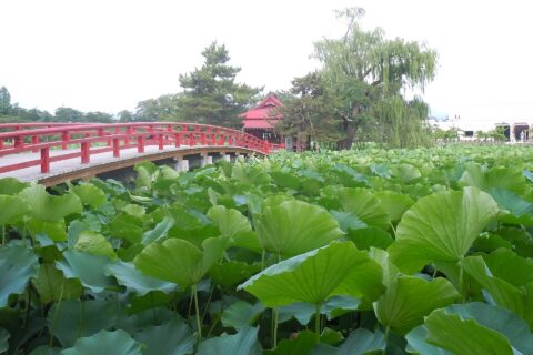 Saruka Park (猿賀公園)