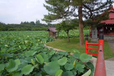 Saruka Park (猿賀公園)
