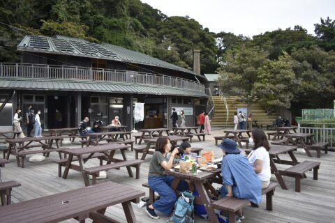 無人島 猿島
