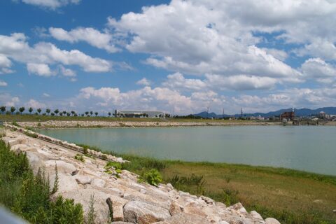 狭山池（南西側の湖畔にて）