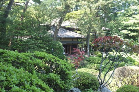 庄内の豪商、本間氏によって築かれた別邸、「清遠閣」。粋を尽くした造作で酒田の迎賓館と呼ばれ、大正14年には皇太子時代(摂政殿下時代)の昭和天皇陛下も宿泊された。市内の旧本邸と異なり、こちらは純粋に賓客をもてなす事を目的に造られた建物である。