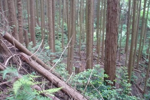 ​信貴山城