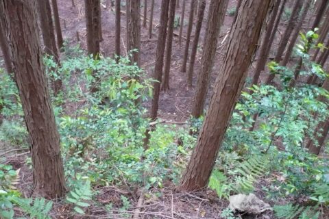壁面