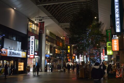 Kamitōri and Shimotōri Arcades — photo 4