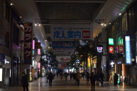 Kamitōri and Shimotōri Arcades — photo 5