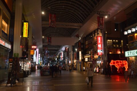 Kamitōri and Shimotōri Arcades — photo 8