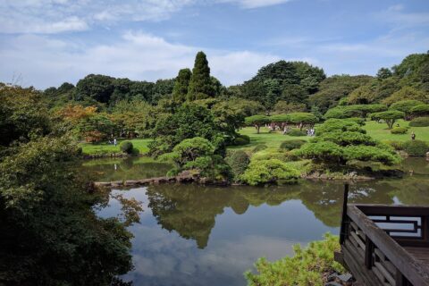 ​新宿御苑内の風景写真です。