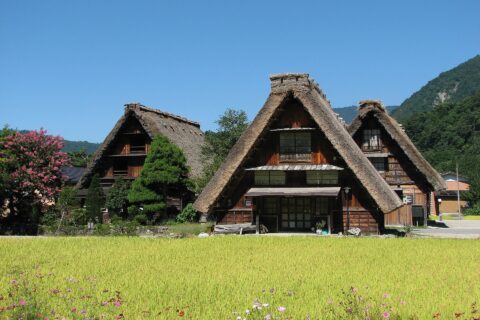 世界遺産に指定されている白川郷の合掌造り。