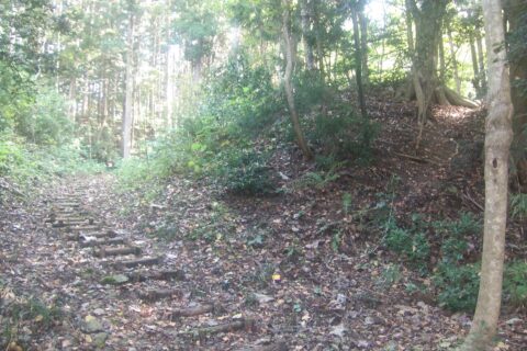 白鳥舘遺跡曲輪跡