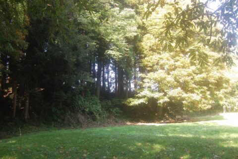 白鳥舘遺跡の館跡
