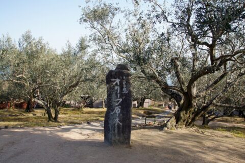Shodoshima Olive Park: Shodoshima Olive Park of Shōdo Island , Shodoshima , Kagawa prefecture , Japan