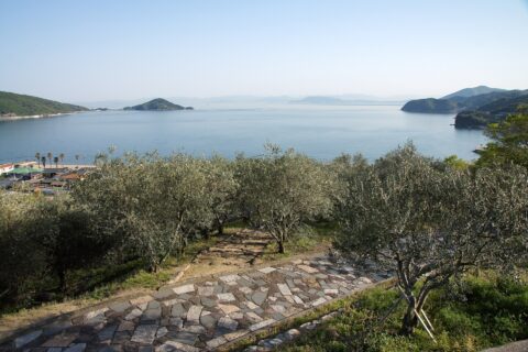 Shodoshima Olive Park: Shodoshima Olive Park of Shōdo Island , Shodoshima , Kagawa prefecture , Japan