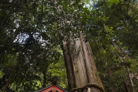 Mount Kurama Kyoto