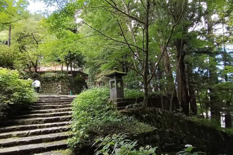 Acceso a los Santuarios y templos de Nikkō