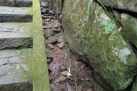 Acceso a los Santuarios y templos de Nikkō