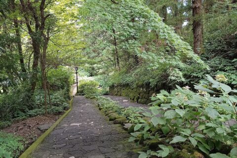 Acceso a los Santuarios y templos de Nikkō