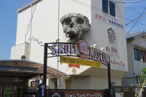 シャレコーベ・ミュージアム （skull museum、頭蓋骨博物館） 世界初の頭蓋骨博物館、兵庫県尼崎市。 開館は日曜のみ。