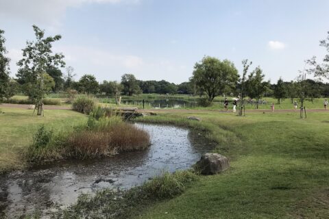吉野ヶ里歴史公園の水路