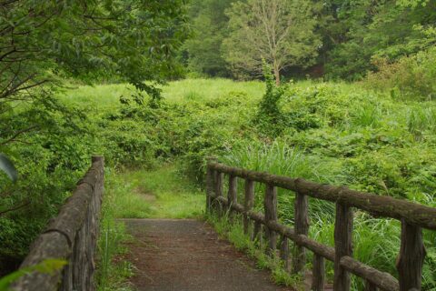 Sugaya Castle ruin / 菅谷館跡