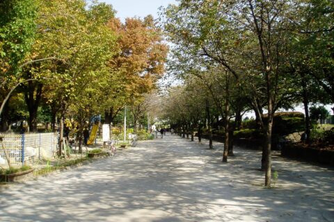 Sumida Park (ja:隅田公園) in Hanakawado, Taito, Tokyo, Japan