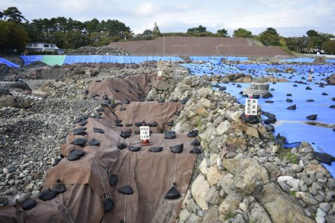 駿府城公園 天守台発掘調査