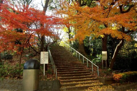 摺鉢山古墳（東京都台東区上野公園）