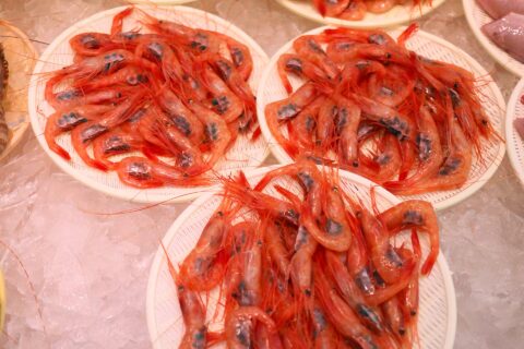 Sweet shrimp at Teradomari Fish Market Street, Nagaoka, Niigata Prefecture, Japan