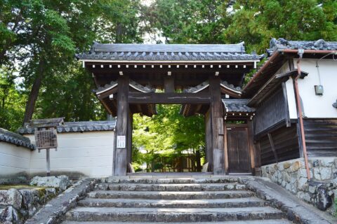 Tada Shrine — photo 10