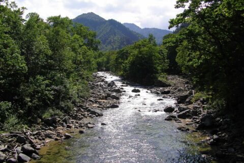​ja:只見川。新潟・福島県境の金泉橋上から上流側を見る。ja:奥只見湖よりも更に上流の渓流。2006年9月、投稿者撮影。