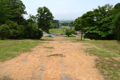 多賀城政庁跡 南道