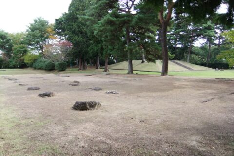 多賀城廃寺跡 （宮城県多賀城市）