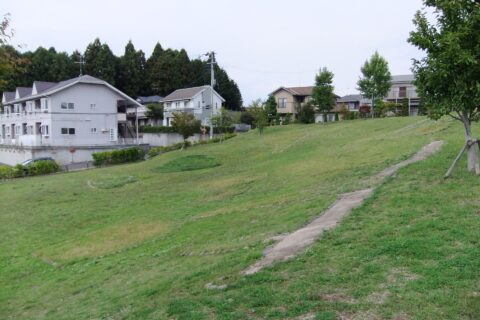 柏木遺跡 （宮城県多賀城市）