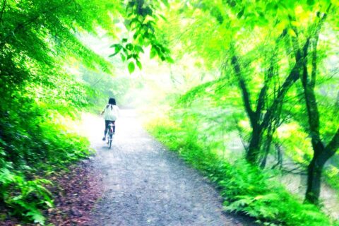帝釈峡に整備された遊歩道。路面は舗装されておらず、ロードバイクよりクロスバイクの方が無難。レンタルサイクルもある。