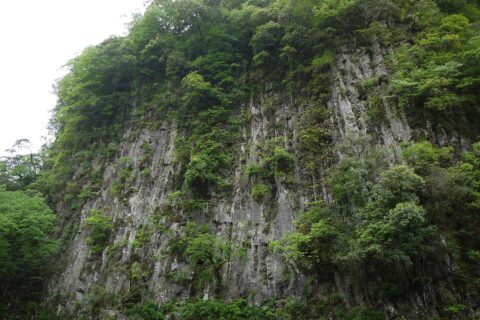 仙人の屏風岩（高千穂峡）