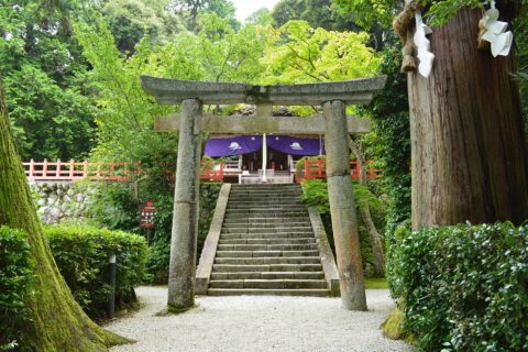 高鴨神社 境内鳥居
