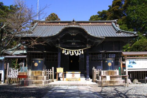 玉前神社 拝殿