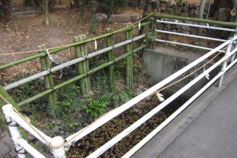 ​田村神社 (高松市) 花泉