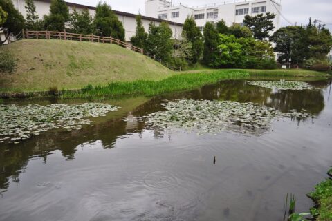 ​田中城 三之堀